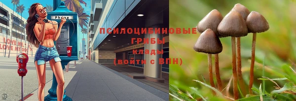 соль ск Тихвин