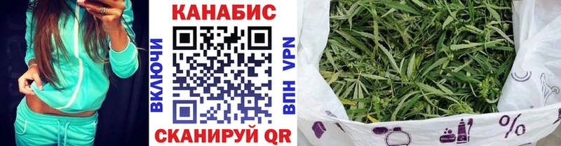 Шишки марихуана OG Kush  Купить  Сенгилей 