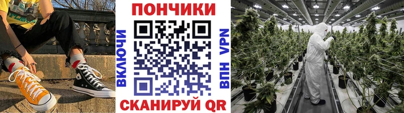 Шишки марихуана сатива Сенгилей